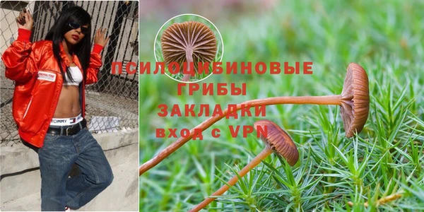 ECSTASY Михайловск