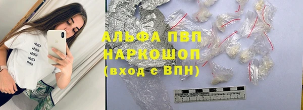 дмт Алексин