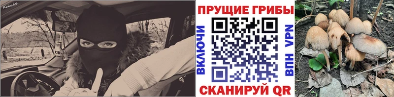 blacksprut зеркало Юрьев-Польский Псилоцибиновые грибы Cubensis сколько стоит